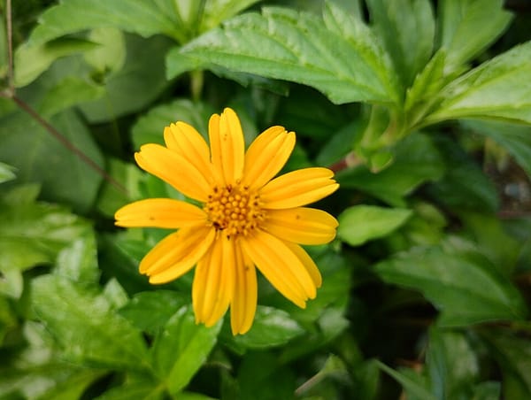 India's Startup Funding Rebounds to $14 Billion in 2025