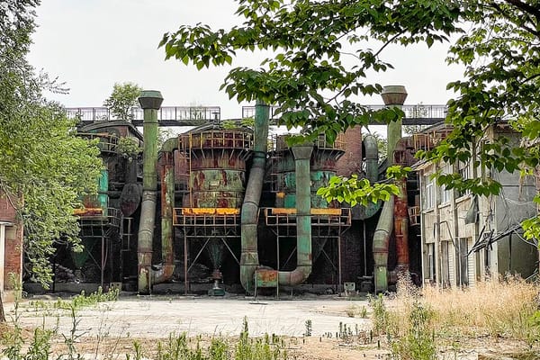 China's Manufacturing PMI Returns to Expansion in December